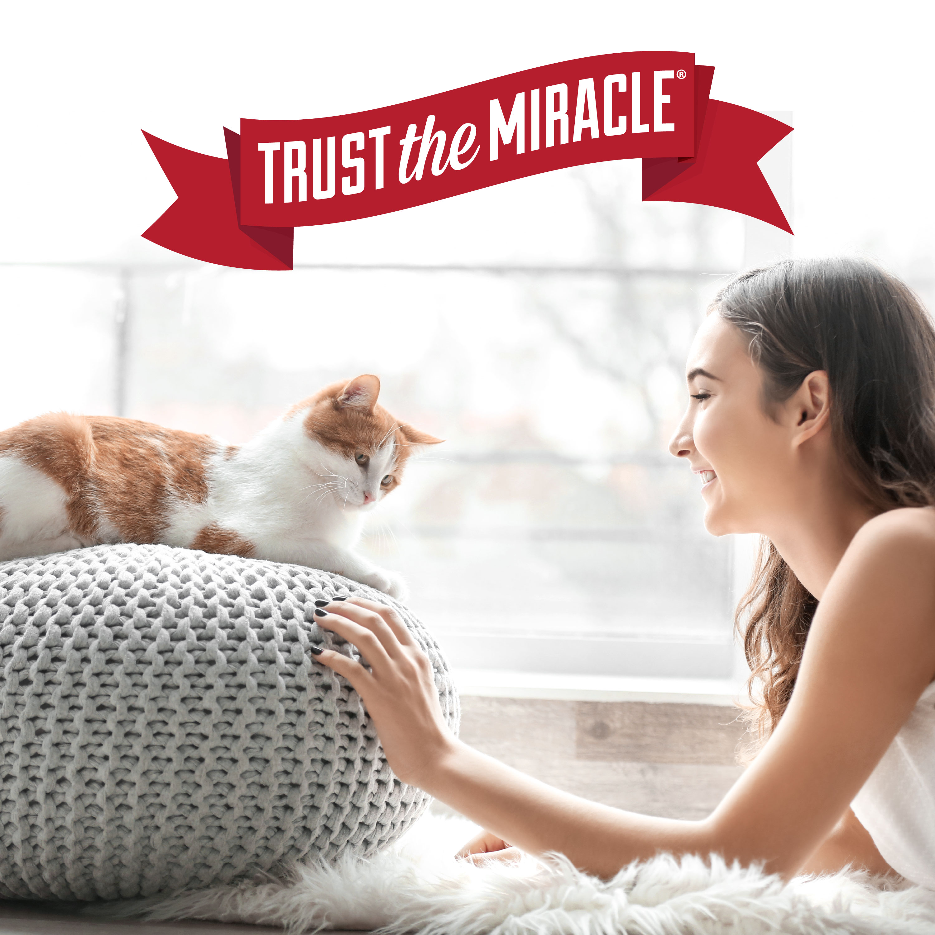 Urine Remover Cat Nature s Miracle